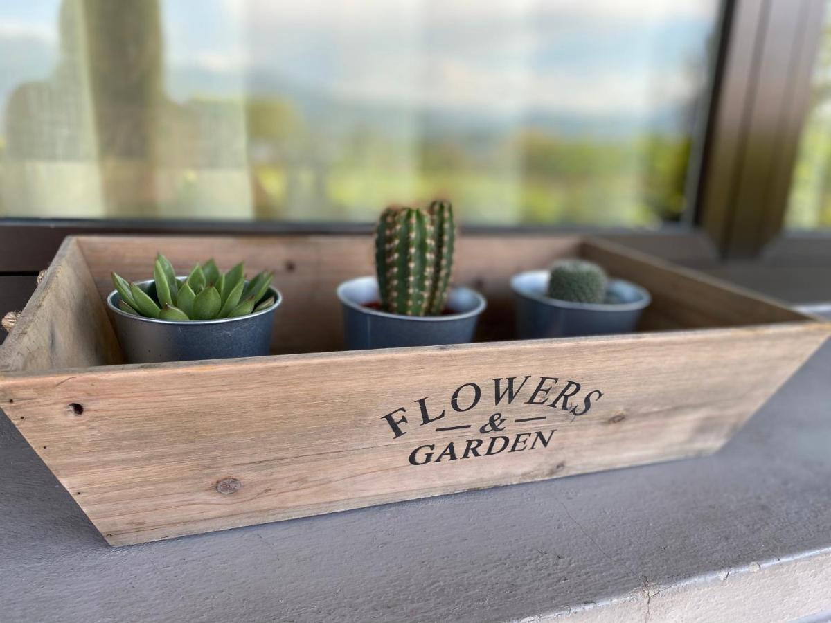Flowers & Garden Apartment Con Vista Lago Manerba del Garda Exteriér fotografie